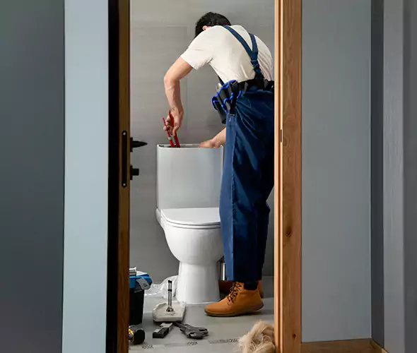 Professional Plumbers for Toilet Bowl Replacement in San Bernardino, CA: Schedule Affordable Toilet Replacement Services With Us